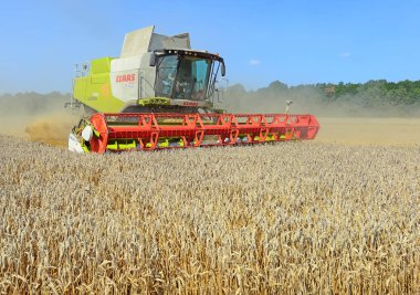 combine harvester working at wheat field, harvesting in the countryside