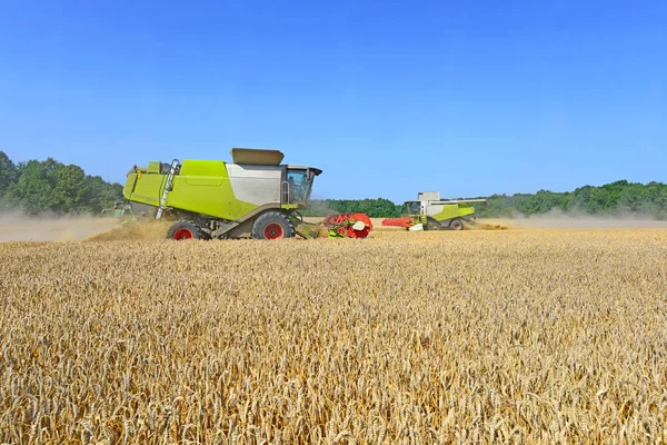 Combine Harvesters Working Wheat Field Harvesting Countryside — Stock Photo, Image