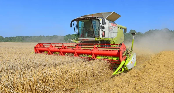 Combine Harvester Working Wheat Field Harvesting Countryside — Stock Fotó