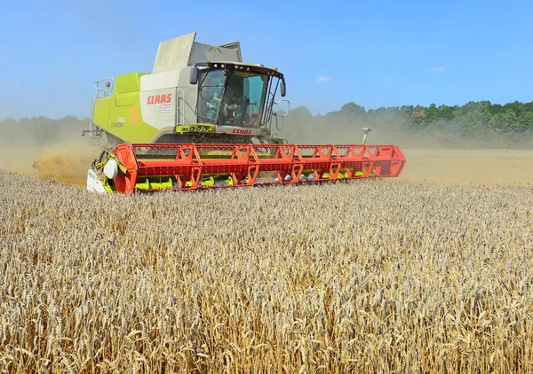 Combine Harvester Working Wheat Field Harvesting Countryside — Stock Fotó