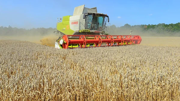 Combine Harvester Working Wheat Field Harvesting Countryside — ストック写真