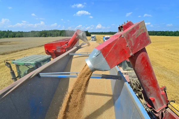Surcharge Des Moissonneuses Batteuses Dans Réservoir Grain Remorque Tracteur — Photo