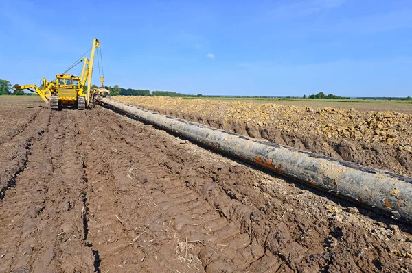 Pipelayer Sobre Reparação Gasoduto — Fotografia de Stock