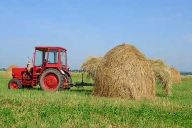 Hay harvesting at summer 