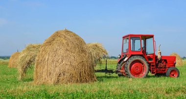 Hay harvesting at summer 