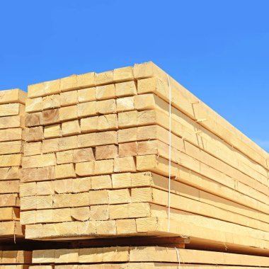 Sörf tahtalarını dizer