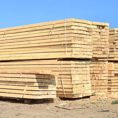 Sörf tahtalarını dizer