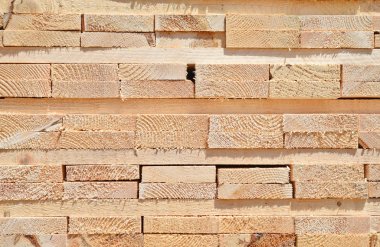 Sörf tahtalarını dizer