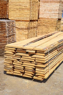 Sörf tahtalarını dizer