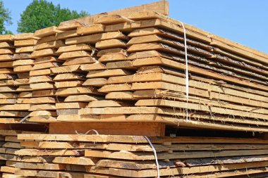 Sörf tahtalarını dizer