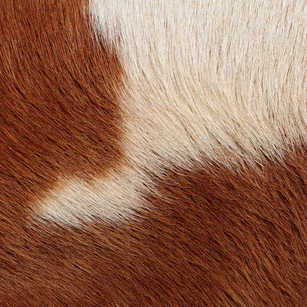 Fragment Cow Skin Animal Background — ストック写真