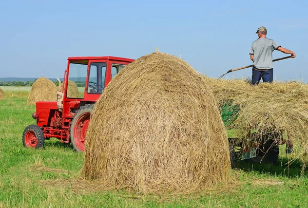 Збирання Сіна Влітку — стокове фото