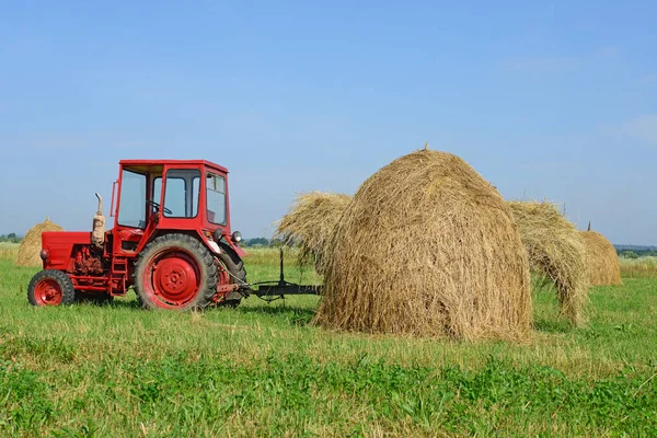 Hay Harvesting Summer — Fotografia de Stock