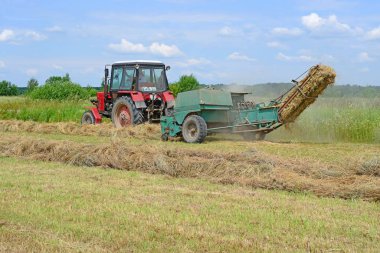 Dolyna, Ukraine - June 1, 2018: Harvesting hay in the fields of organic farm near the town Dolyna, Western Ukraine.