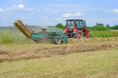 Dolyna, Ukraine - June 1, 2018: Harvesting hay in the fields of organic farm near the town Dolyna, Western Ukraine.