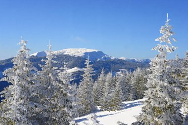 Dağlarda karla kaplı ağaçlarla kaplı güzel bir manzara.