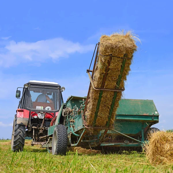 Dolyna Ucrânia Junho 2018 Colheita Feno Nos Campos Fazenda Orgânica — Fotografia de Stock