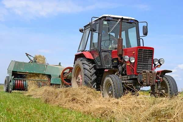 Dolyna Oekraïne Juni 2018 Hooi Oogsten Velden Van Biologische Boerderij — Stockfoto