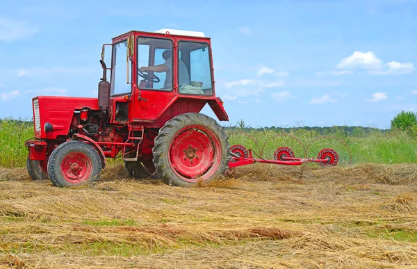 Dolyna Ukraine June 2018 Harvesting Hay Fields Organic Farm Town — Stockfoto