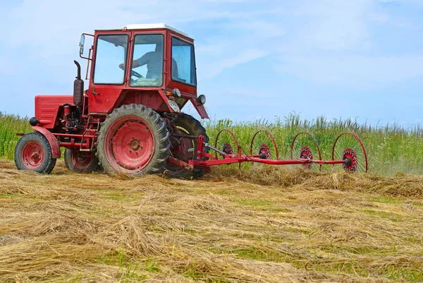 Dolyna Ucrânia Junho 2018 Colheita Feno Nos Campos Fazenda Orgânica — Fotografia de Stock