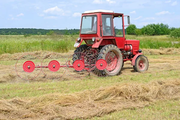 Dolyna Ukraine June 2018 Harvesting Hay Fields Organic Farm Town — Fotografia de Stock