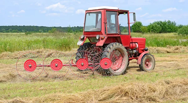 Dolyna Ukraine June 2018 Harvesting Hay Fields Organic Farm Town — Fotografia de Stock