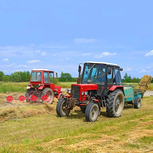 Dolyna Ukraine Juni 2018 Heuernte Auf Den Feldern Eines Biobauernhofs — Stockfoto