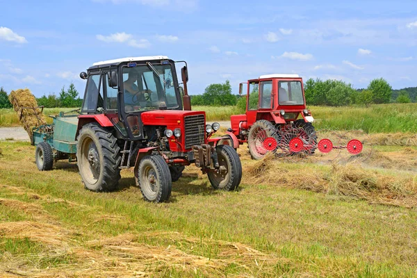 Dolyna Ukraine June 2018 Harvesting Hay Fields Organic Farm Town — 图库照片