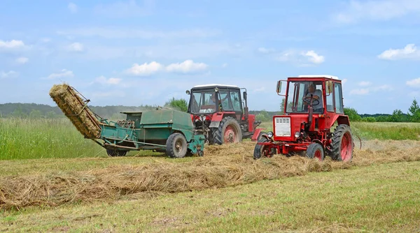 Dolyna Ukraine June 2018 Harvesting Hay Fields Organic Farm Town — 图库照片