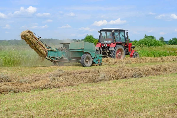 Dolyna Ukraine June 2018 Harvesting Hay Fields Organic Farm Town — 스톡 사진