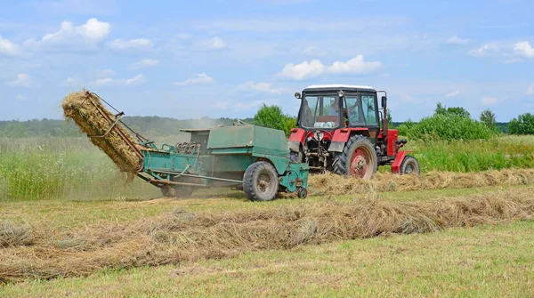 Dolyna Ukraine June 2018 Harvesting Hay Fields Organic Farm Town — Stockfoto