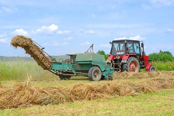 Dolyna Ukraine Juni 2018 Heuernte Auf Den Feldern Eines Biobauernhofs — Stockfoto