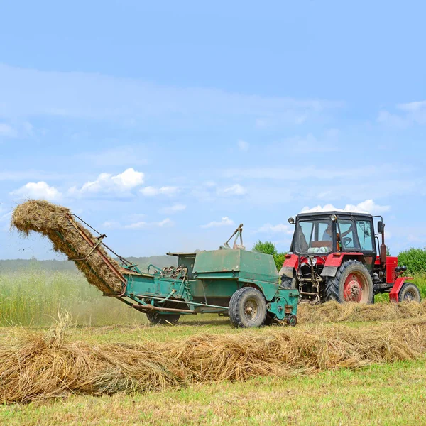 Dolyna Ukraine June 2018 Harvesting Hay Fields Organic Farm Town — Stockfoto