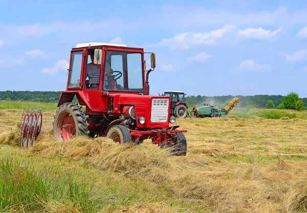 Dolyna Ukraine June 2018 Harvesting Hay Fields Organic Farm Town — Photo