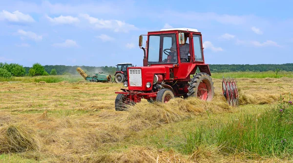 Dolyna Ukraine June 2018 Harvesting Hay Fields Organic Farm Town — Photo
