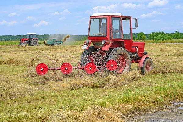 Dolyna Ukraine June 2018 Harvesting Hay Fields Organic Farm Town — Stockfoto