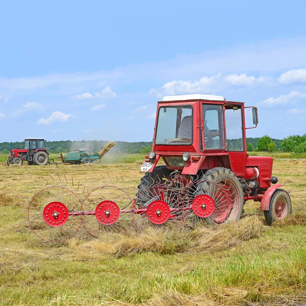 Dolyna Ukraine June 2018 Harvesting Hay Fields Organic Farm Town — Stockfoto