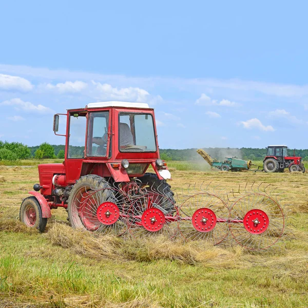 Dolyna Ukraine June 2018 Harvesting Hay Fields Organic Farm Town —  Fotos de Stock