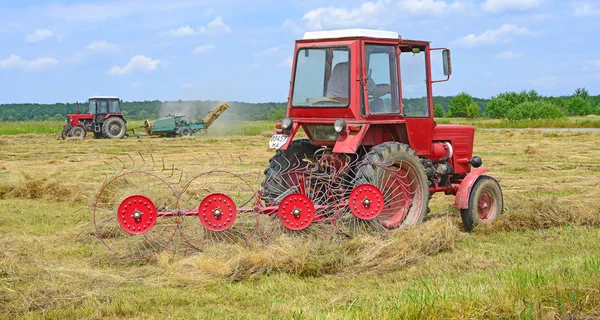 Dolyna Ucrânia Junho 2018 Colheita Feno Nos Campos Fazenda Orgânica — Fotografia de Stock