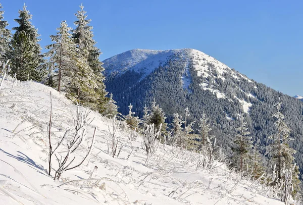 Beautiful Landscape Snow Covered Trees Mountains — Stock Photo, Image