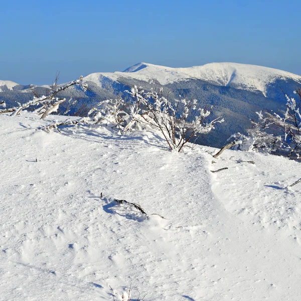 Bellissimo Paesaggio Con Montagne Innevate — Foto Stock