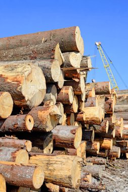 Ahşap kütük yığını, kereste arkaplanı