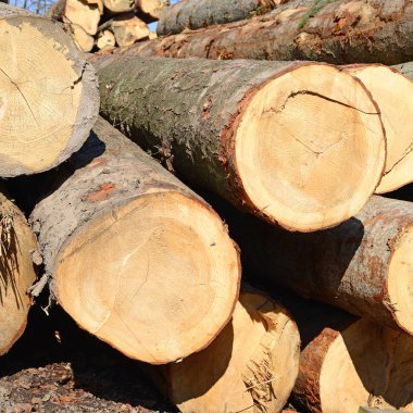 Ahşap kütük yığını, kereste arkaplanı