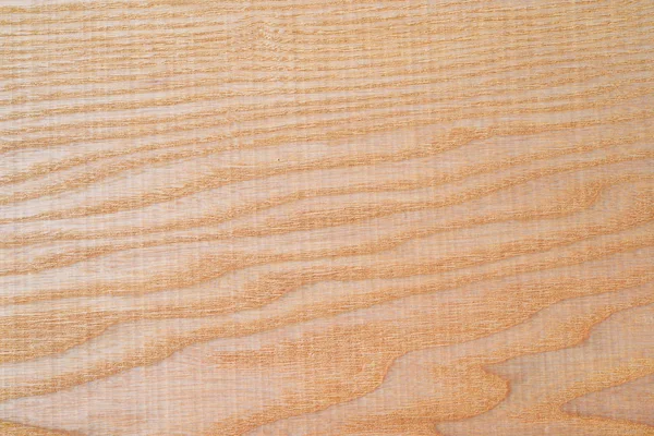 Фрагмент Деревянной Панели Лиственных Пород Дерева — стоковое фото