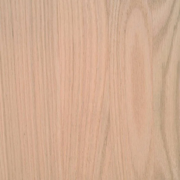 Fragment Panel Hardwood — 图库照片