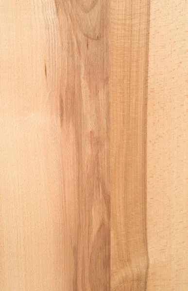 Fragment Panel Hardwood — Stock Photo, Image