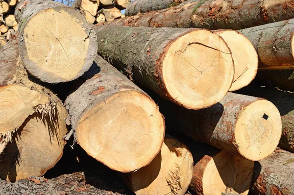 Stapel Houtblokken Houten Ondergrond — Stockfoto