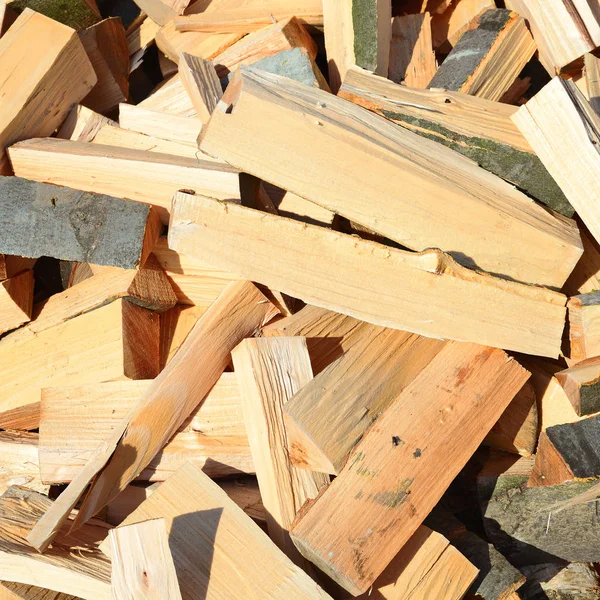 Pile Wood Logs Timber Background — Stock Photo, Image