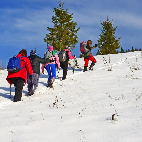 Verkhovyna Ukraine December Group Tourists Ski Slope Carpathians Town Verkhovyna — Foto de Stock