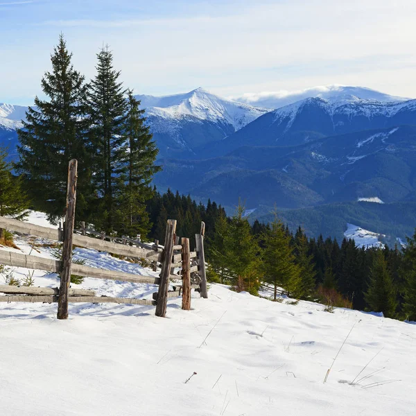 Beau Paysage Hivernal Dans Les Montagnes — Photo